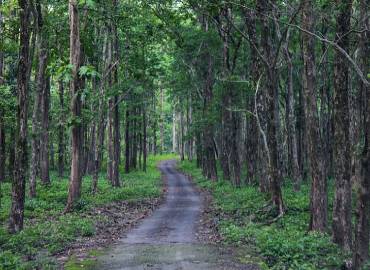 Nature Lover Homestay -Sittong Homestay